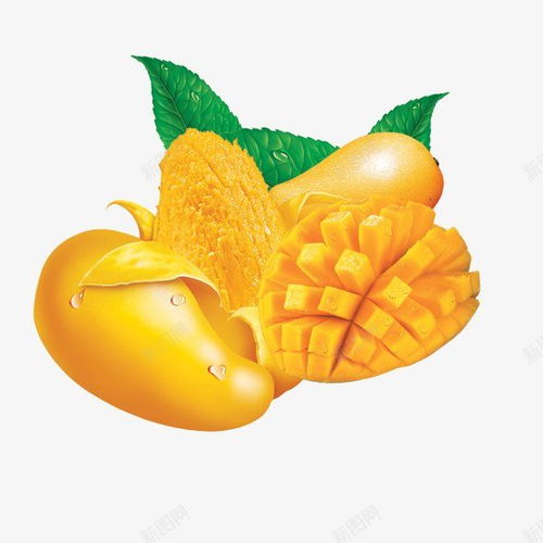 熱帶靈感 融合新鮮水果與綠葉的設(shè)計素材寶庫